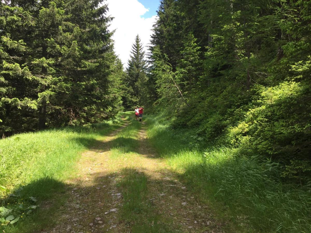 Ferienwohnungen Bianca Hasler - Stallbauer Pusterwald Экстерьер фото